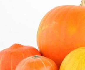 南瓜的食疗作用 南瓜的食疗作用及禁忌