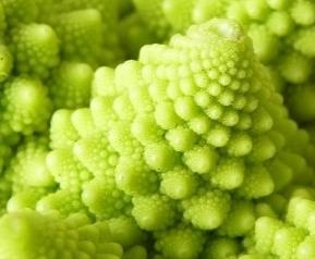 罗马花椰菜(罗马花椰菜图片)