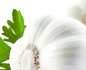 常吃大蒜的好处 男人经常吃大蒜的好处