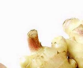 发芽的姜和蒜还能吃吗（发芽的姜和蒜还能吃吗图片）