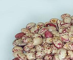 芸豆几种家常做法步骤 芸豆的做法家常做法