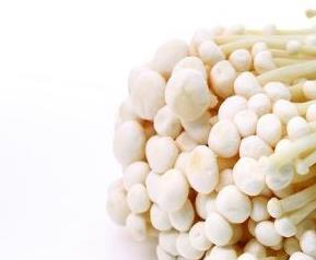 金针菇生理性病害 金针菇病菌