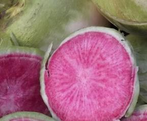 吃红心萝卜有什么好处 吃红心萝卜有什么好处和坏处