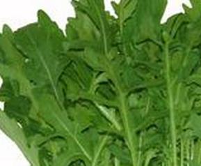 芝麻菜的功效与作用（新鲜芝麻菜的功效与作用）