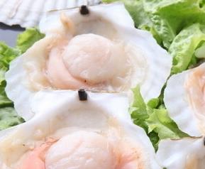 扇贝的营养价值(扇贝的营养价值和禁忌)