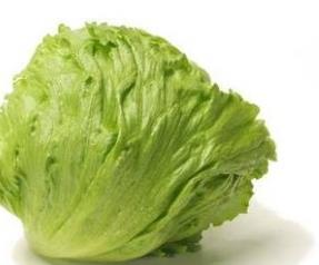 什么是西生菜（西生菜和生菜的区别是什么）