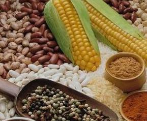 便秘吃什么食物好（便秘吃什么食物好有助于排便）