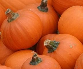 南瓜的营养价值（南瓜的营养价值及功效与作用）