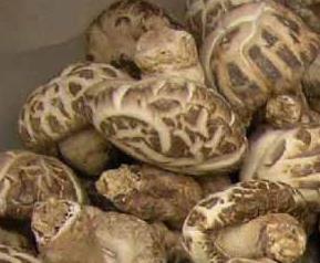 香菇的选购,存储和食用方法（香菇储存方法有几种）