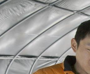 平菇的功效与作用（杏鲍菇的功效与作用）