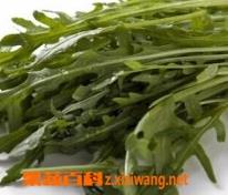 意大利芝麻菜图片和功效 芝麻菜 意大利