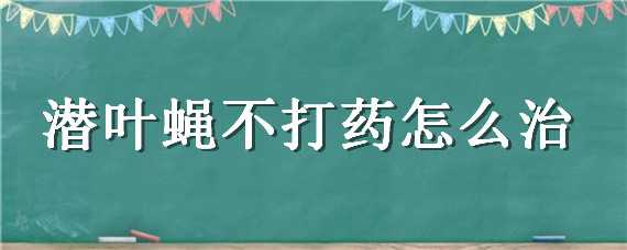 潜叶蝇不打药怎么治 潜叶蝇不打药怎么治虫