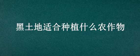 黑土地适合种植什么农作物（黑土地适合种植什么农作物呢）