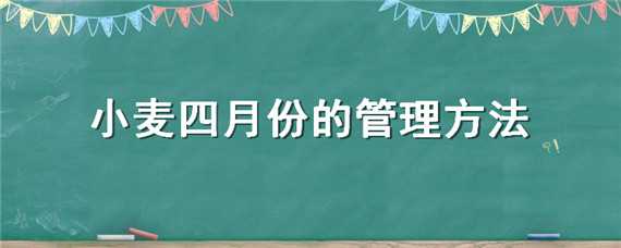 小麦四月份的管理方法 4月上旬小麦管理