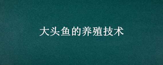 大头鱼的养殖技术 大头鱼的养殖技术视频