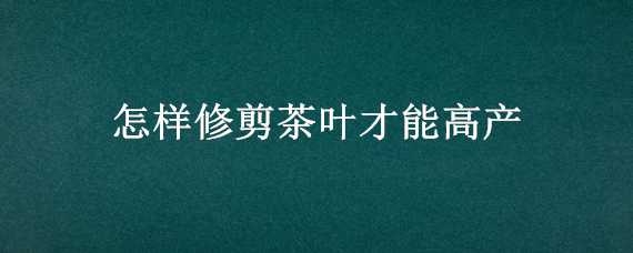 怎样修剪茶叶才能高产 茶叶如何修剪