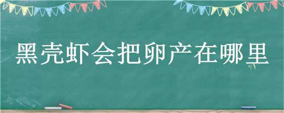 黑壳虾会把卵产在哪里（黑壳虾是卵生吗）