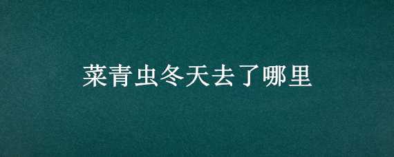 菜青虫冬天去了哪里（菜青虫冬天去了哪里你知道其中的奥秘吗）