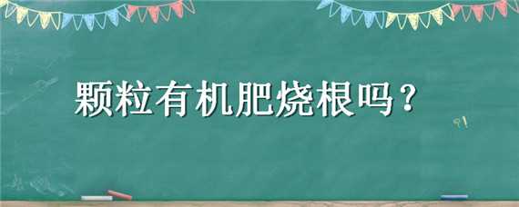 颗粒有机肥烧根吗（颗粒有机肥烧根吗怎么处理）