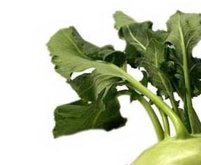 芥菜的营养价值（芥菜的营养价值和功效作用）