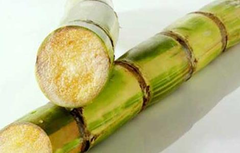 孕妇能吃甘蔗吗?（孕妇能吃甘蔗吗晚期）