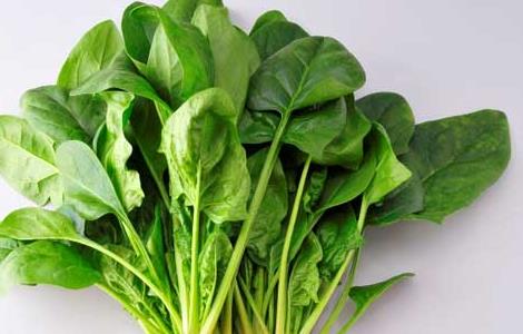 菠菜和豆腐能一起吃吗（菠菜和豆腐为什么不能一起吃）