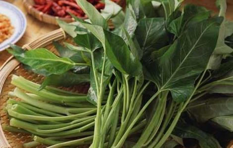孕妇可以吃空心菜吗(孕妇可以吃空心菜吗孕晚期)