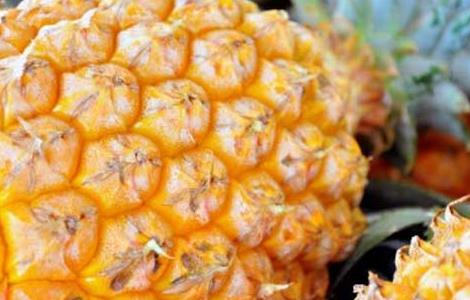 孕妇可以吃菠萝吗 孕妇可以吃菠萝吗?