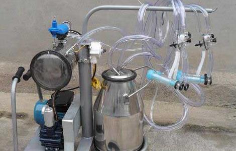 挤奶机的操作流程及注意事项（挤奶技术操作流程）