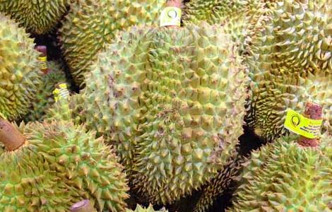 榴莲能空腹吃吗（榴莲能空腹吃吗早餐）