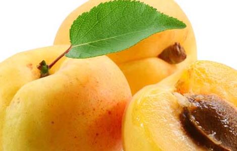 孕妇能吃杏吗（孕妇能吃杏干吗）