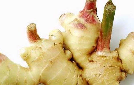 生姜发芽能吃吗（生姜发芽能吃吗?有毒吗?）