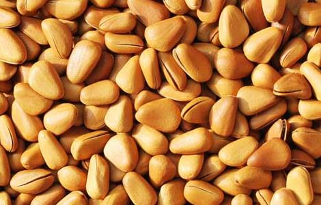 松子的副作用有哪些（松子的副作用有哪些禁忌）