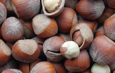 榛子的营养价值（榛子的营养价值和副作用）