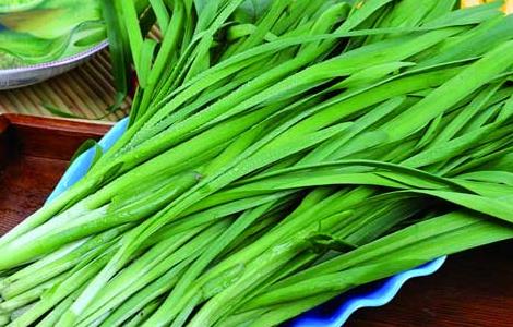 孕妇能吃韭菜吗(孕妇能吃韭菜吗吗早期)