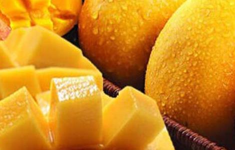 孕妇能吃芒果吗