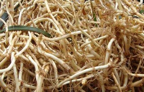 孕妇能吃折耳根吗（孕妇能吃折耳根吗中期）