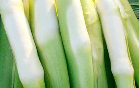 孕妇能吃茭白吗（孕妇能吃茭白吗胡萝卜吗）