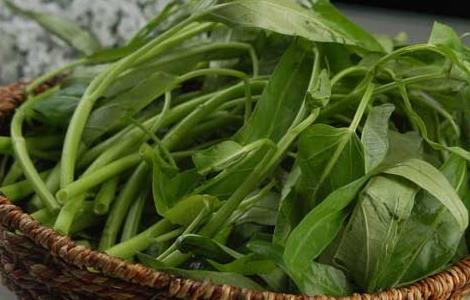 空心菜的功效与作用(空心菜的功效与作用及副作用)