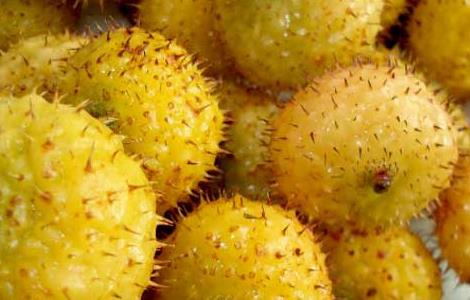 刺梨的营养价值（刺梨的营养价值?）