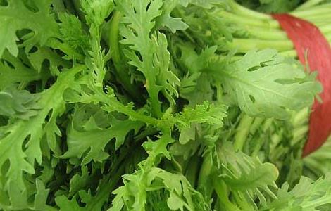 茼蒿的功效与作用 菠菜的功效与作用