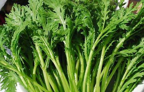 茼蒿的功效与作用