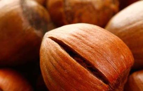 榛子的功效与作用（榛子的功效与作用对女人的好处）