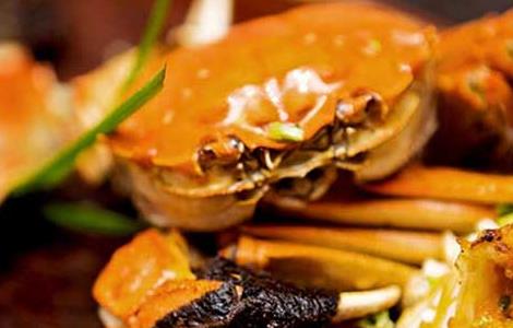 大闸蟹的营养价值（大闸蟹的营养价值及功效与作用禁忌）