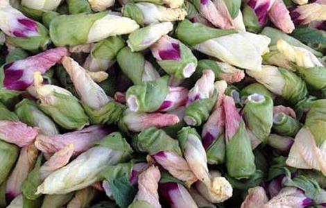 黄秋葵花茶的功效与作用（黄秋葵花茶的功效与作用）