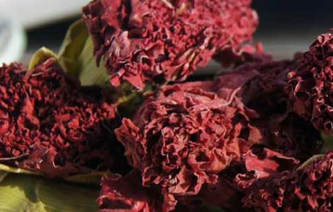 康乃馨花茶的功效与作用(康乃馨花茶有什么功效)