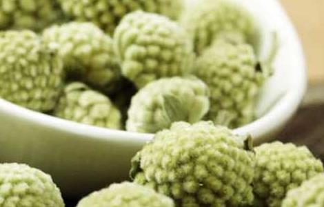 绿萝花茶的功效与作用 绿萝花茶的功效与作用及禁忌