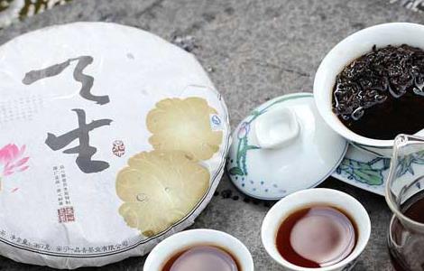 普洱茶的功效与作用(普洱茶的功效与作用和副作用及禁忌)