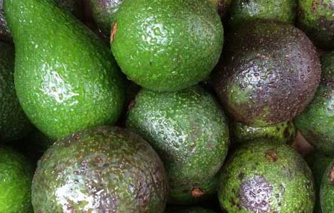 孕妇能吃牛油果吗