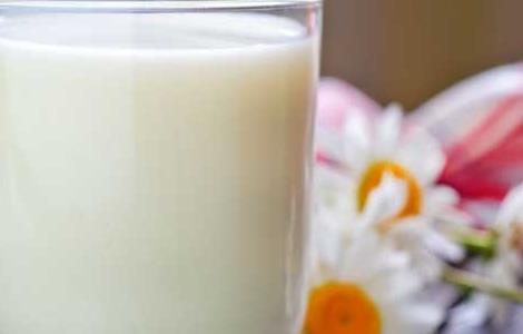 喝牛奶的最佳时间（喝牛奶的最佳时间是早上还是晚上）